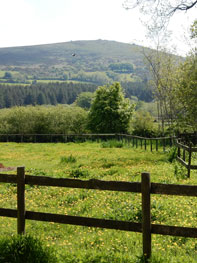 View of Dartmoor